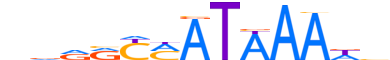 HXC9.H13INVITRO.0.P.B reverse-complement motif logo (HOXC9 gene, HXC9_HUMAN protein)