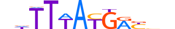 HXC9.H13INVITRO.1.S.C motif logo (HOXC9 gene, HXC9_HUMAN protein)