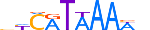 HXD11.H13INVITRO.0.PS.A reverse-complement motif logo (HOXD11 gene, HXD11_HUMAN protein)