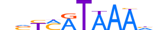 HXD13.H13INVITRO.0.PS.A reverse-complement motif logo (HOXD13 gene, HXD13_HUMAN protein)