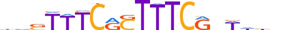 IRF2.H13INVITRO.0.PSM.A reverse-complement motif logo (IRF2 gene, IRF2_HUMAN protein)