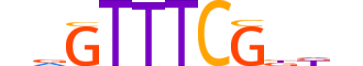 IRF5.H13INVITRO.1.S.B reverse-complement motif logo (IRF5 gene, IRF5_HUMAN protein)