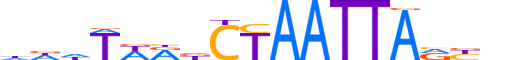 ISX.H13INVITRO.1.S.B reverse-complement motif logo (ISX gene, ISX_HUMAN protein)