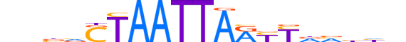 ISX.H13INVITRO.2.SM.B reverse-complement motif logo (ISX gene, ISX_HUMAN protein)