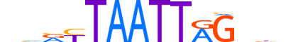 LBX2.H13INVITRO.0.S.B reverse-complement motif logo (LBX2 gene, LBX2_HUMAN protein)