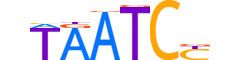 LEUTX.H13INVITRO.0.PSGB.A motif logo (LEUTX gene, LEUTX_HUMAN protein)