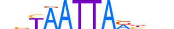 LHX4.H13INVITRO.0.SM.B motif logo (LHX4 gene, LHX4_HUMAN protein)