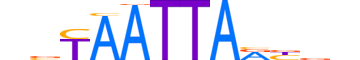 LHX5.H13INVITRO.0.PSM.A reverse-complement motif logo (LHX5 gene, LHX5_HUMAN protein)