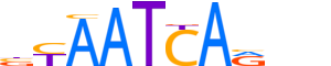 LHX6.H13INVITRO.0.P.B motif logo (LHX6 gene, LHX6_HUMAN protein)