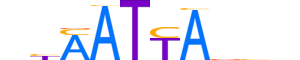 LHX6.H13INVITRO.1.S.B motif logo (LHX6 gene, LHX6_HUMAN protein)