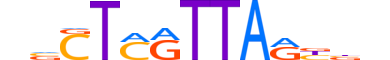 LHX6.H13INVITRO.2.M.C reverse-complement motif logo (LHX6 gene, LHX6_HUMAN protein)