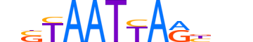 LHX8.H13INVITRO.0.S.B reverse-complement motif logo (LHX8 gene, LHX8_HUMAN protein)