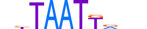 LHX9.H13INVITRO.0.PS.A motif logo (LHX9 gene, LHX9_HUMAN protein)