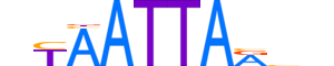 LMX1A.H13INVITRO.0.SM.B reverse-complement motif logo (LMX1A gene, LMX1A_HUMAN protein)