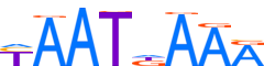 LMX1B.H13INVITRO.0.P.C motif logo (LMX1B gene, LMX1B_HUMAN protein)