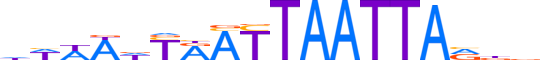 LMX1B.H13INVITRO.2.S.B reverse-complement motif logo (LMX1B gene, LMX1B_HUMAN protein)