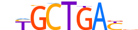 MAF.H13INVITRO.1.PSM.A motif logo (MAF gene, MAF_HUMAN protein)