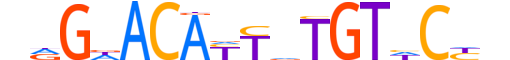 MCR.H13INVITRO.0.S.B reverse-complement motif logo (NR3C2 gene, MCR_HUMAN protein)