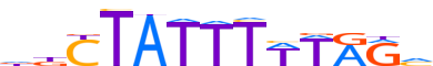 MEF2A.H13INVITRO.0.P.D motif logo (MEF2A gene, MEF2A_HUMAN protein)