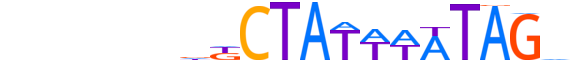 MEF2D.H13INVITRO.0.PS.A motif logo (MEF2D gene, MEF2D_HUMAN protein)