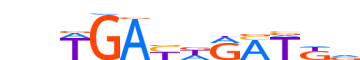 MEIS1.H13INVITRO.0.P.B motif logo (MEIS1 gene, MEIS1_HUMAN protein)