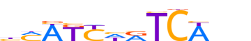 MEIS1.H13INVITRO.0.P.B reverse-complement motif logo (MEIS1 gene, MEIS1_HUMAN protein)