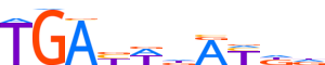 MEIS2.H13INVITRO.0.P.C motif logo (MEIS2 gene, MEIS2_HUMAN protein)