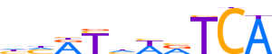 MEIS2.H13INVITRO.0.P.C reverse-complement motif logo (MEIS2 gene, MEIS2_HUMAN protein)