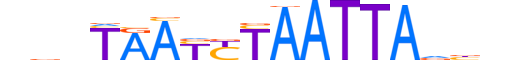 MIXL1.H13INVITRO.0.SM.B reverse-complement motif logo (MIXL1 gene, MIXL1_HUMAN protein)