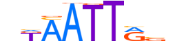 MSX2.H13INVITRO.0.SM.B reverse-complement motif logo (MSX2 gene, MSX2_HUMAN protein)