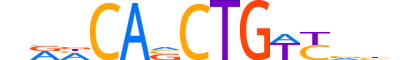 MYF6.H13INVITRO.0.SM.B motif logo (MYF6 gene, MYF6_HUMAN protein)