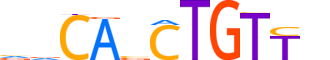 MYOD1.H13INVITRO.1.PSM.A motif logo (MYOD1 gene, MYOD1_HUMAN protein)