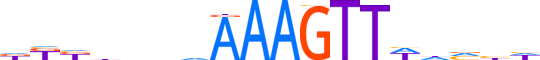 MYT1.H13INVITRO.0.SG.A reverse-complement motif logo (MYT1 gene, MYT1_HUMAN protein)