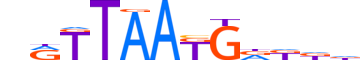 NANOG.H13INVITRO.2.M.C motif logo (NANOG gene, NANOG_HUMAN protein)