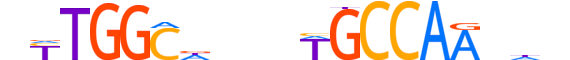 NFIX.H13INVITRO.0.SM.B motif logo (NFIX gene, NFIX_HUMAN protein)