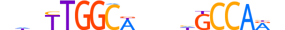 NFIX.H13INVITRO.0.SM.B reverse-complement motif logo (NFIX gene, NFIX_HUMAN protein)