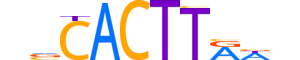 NKX23.H13INVITRO.0.SM.B reverse-complement motif logo (NKX2-3 gene, NKX23_HUMAN protein)