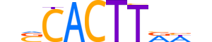 NKX25.H13INVITRO.0.PSM.A reverse-complement motif logo (NKX2-5 gene, NKX25_HUMAN protein)