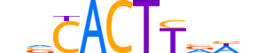 NKX28.H13INVITRO.0.SM.B reverse-complement motif logo (NKX2-8 gene, NKX28_HUMAN protein)