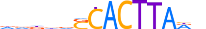 NKX31.H13INVITRO.0.PSM.A reverse-complement motif logo (NKX3-1 gene, NKX31_HUMAN protein)