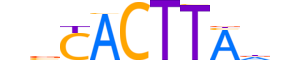 NKX32.H13INVITRO.0.PSM.A reverse-complement motif logo (NKX3-2 gene, NKX32_HUMAN protein)