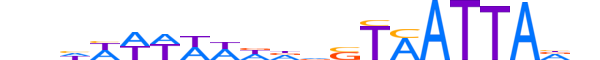 NKX61.H13INVITRO.0.PS.A reverse-complement motif logo (NKX6-1 gene, NKX61_HUMAN protein)