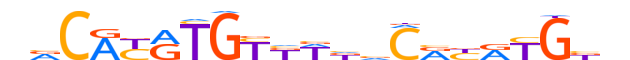 NPAS2.H13INVITRO.0.M.B reverse-complement motif logo (NPAS2 gene, NPAS2_HUMAN protein)