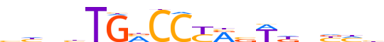 NR1D2.H13INVITRO.0.P.B reverse-complement motif logo (NR1D2 gene, NR1D2_HUMAN protein)