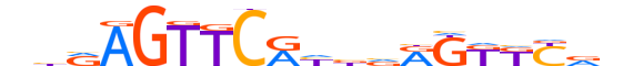 NR1I2.H13INVITRO.0.M.C motif logo (NR1I2 gene, NR1I2_HUMAN protein)