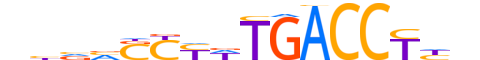 NR2C1.H13INVITRO.1.PM.A reverse-complement motif logo (NR2C1 gene, NR2C1_HUMAN protein)