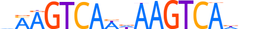 NR2E1.H13INVITRO.1.S.B motif logo (NR2E1 gene, NR2E1_HUMAN protein)