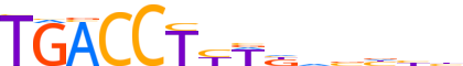 NR2F6.H13INVITRO.0.P.C reverse-complement motif logo (NR2F6 gene, NR2F6_HUMAN protein)