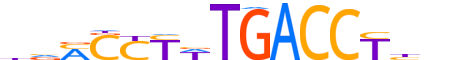 NR2F6.H13INVITRO.2.SM.B reverse-complement motif logo (NR2F6 gene, NR2F6_HUMAN protein)