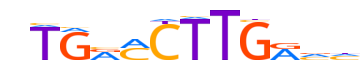 NR6A1.H13INVITRO.1.P.C reverse-complement motif logo (NR6A1 gene, NR6A1_HUMAN protein)